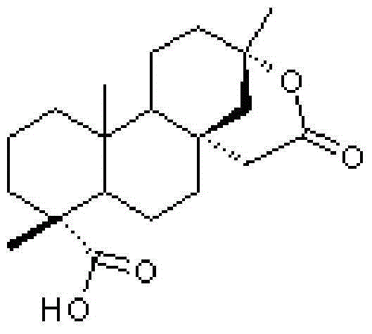 Application of isosteviol lactone in preparation of tumor drug sensitizers