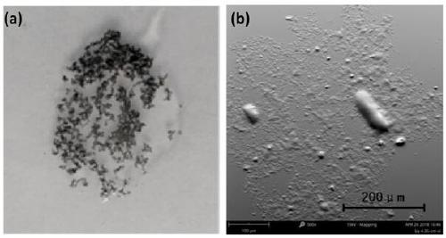 Graphene oxide dispersion carbon nanotube solution and preparation method thereof