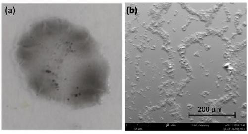 Graphene oxide dispersion carbon nanotube solution and preparation method thereof