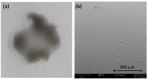 Graphene oxide dispersion carbon nanotube solution and preparation method thereof