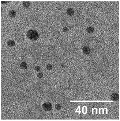 Microwave synthesis method for green fluorescent biomass carbon dots and application