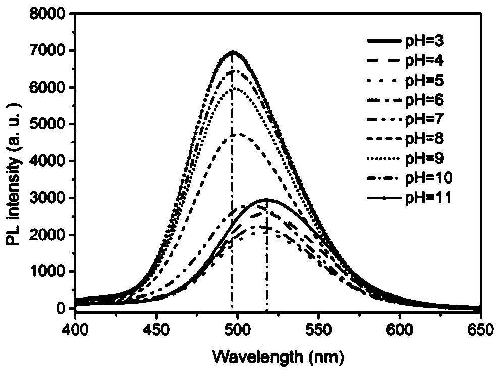 Microwave synthesis method for green fluorescent biomass carbon dots and application