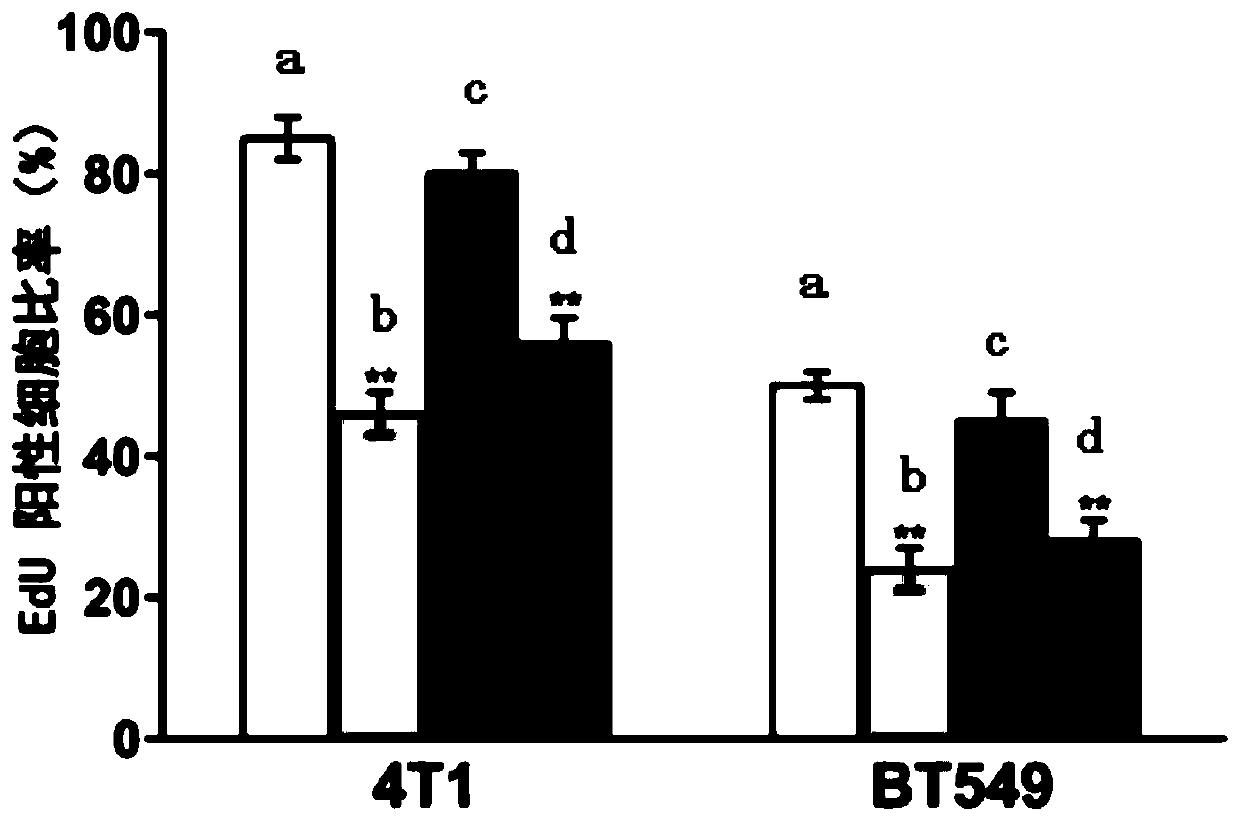 Application of giant molecular weight hyaluronic acid in naked mole rats in the preparation of breast cancer drugs