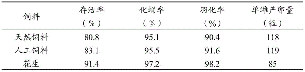 Artificial feeding method for tested bradysia odoriphaga