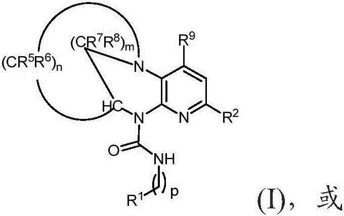 Substituted bridged urea analogs as sirtuin modulators