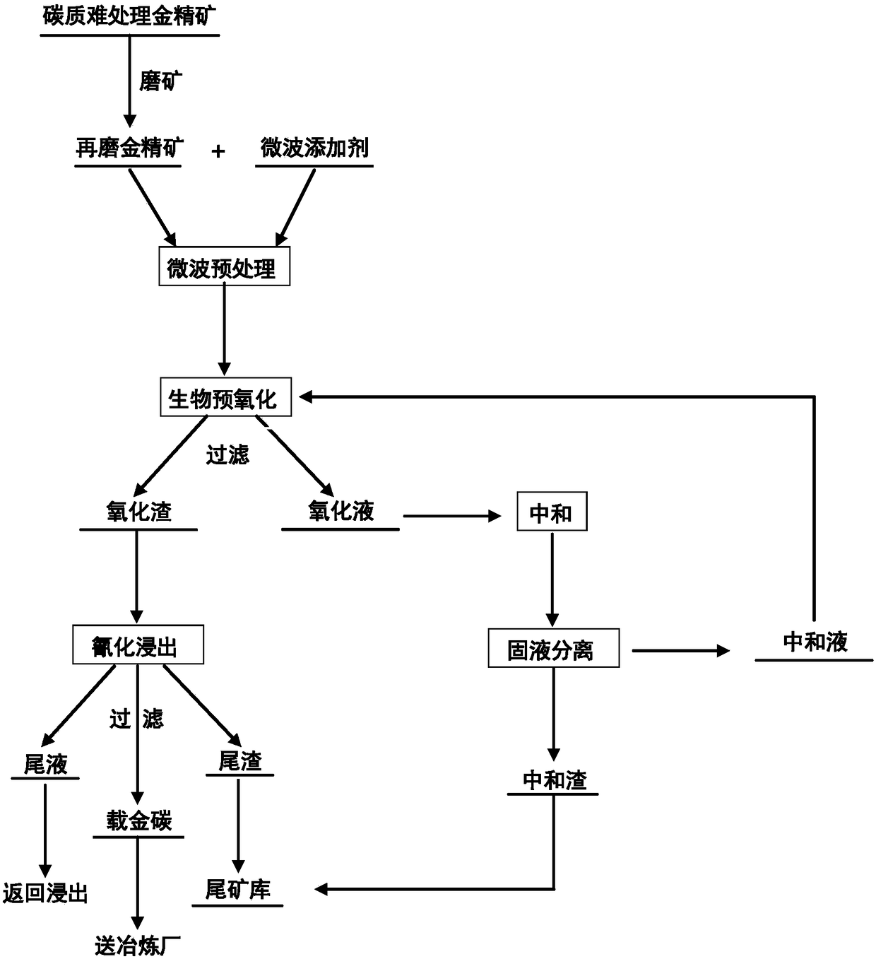 Carbonaceous refractory gold concentrate microwave biological pre-oxidation gold extraction process