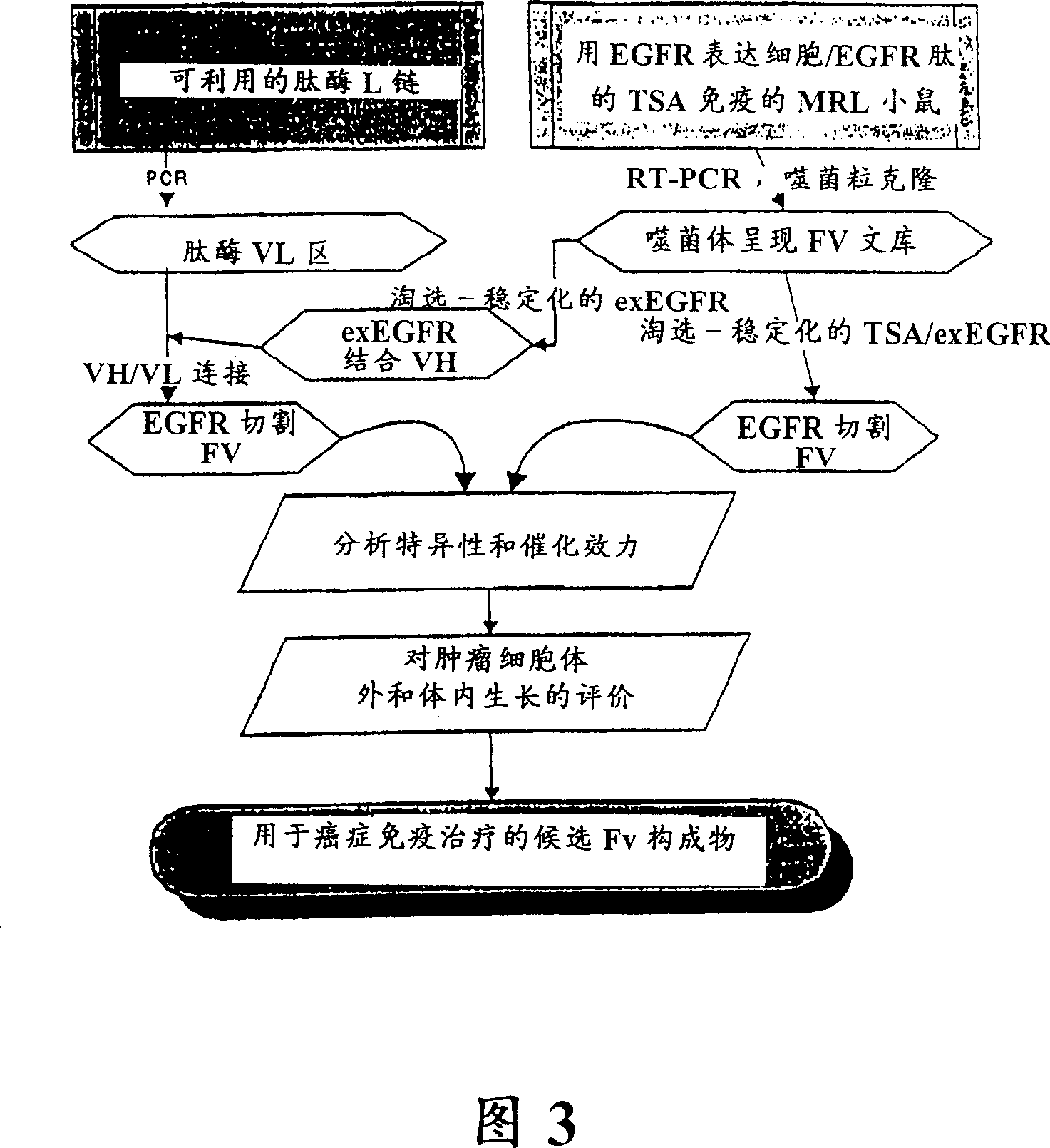 Methods for identifying inducers and inhibitors of propteolytic antibodies, compositions and their uses