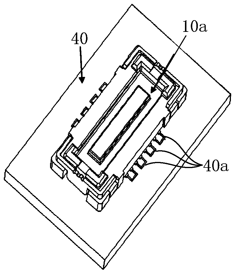 Buckling exercise device and buckling exercise method