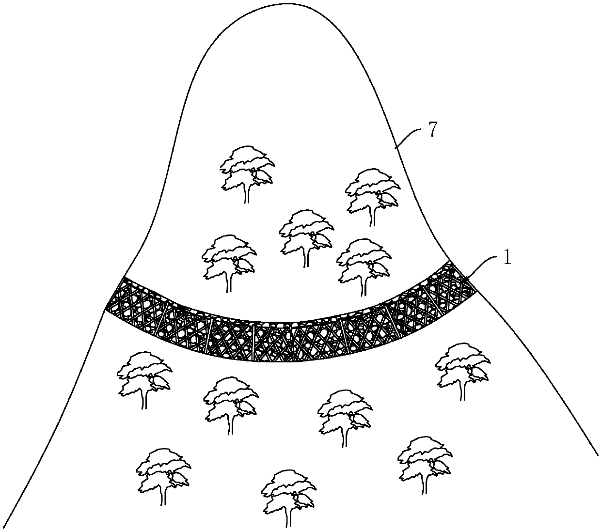 Method for suppressing water and soil erosion of slope