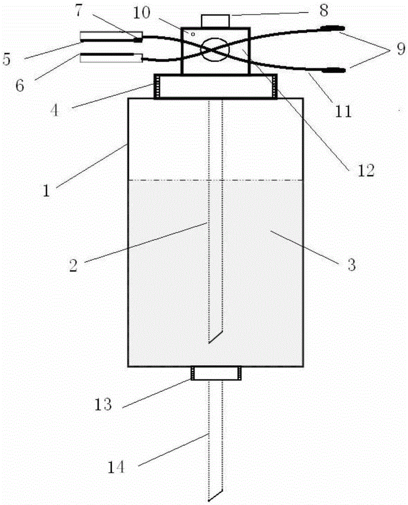 Se-enriched pepper planter and plantation method