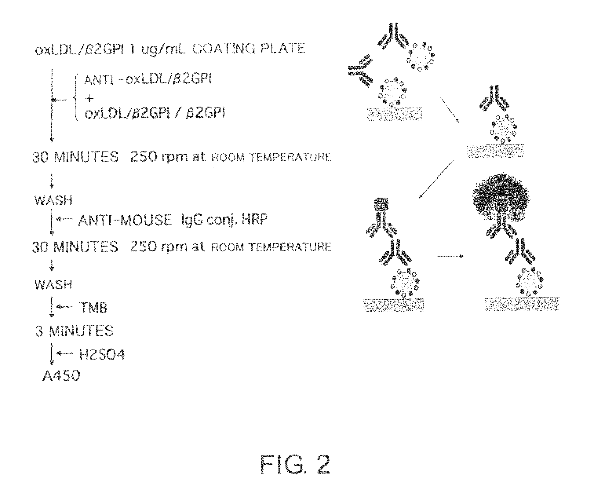 Antibody against oxidized LDL/beta2GPI complex and use of the same