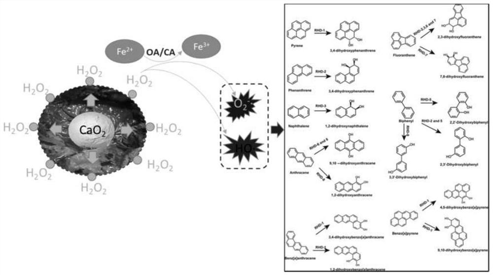 Method for removing refractory organic matter in polluted bottom mud based on calcium peroxide Fenton-like enhancement technology and application