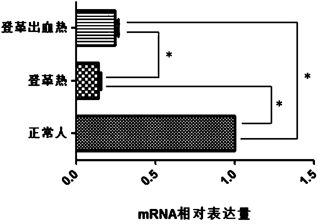 Gene diagnosis marker for dengue fever and dengue hemorrhagic fever