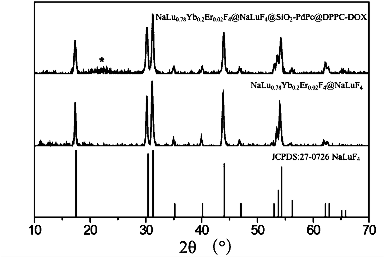 Up-conversion luminescence-thermo-chemotherapy composite nano probe as well as preparation method and application thereof in combined treatment programmed control