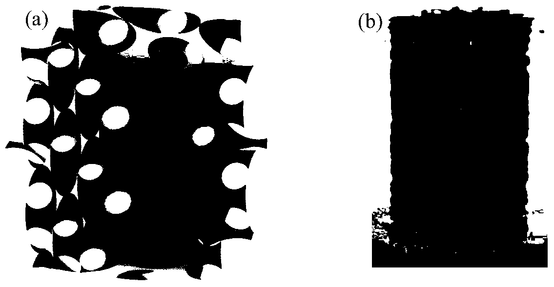 Degradable open porous magnesium and magnesium alloy biomaterial and preparation method thereof