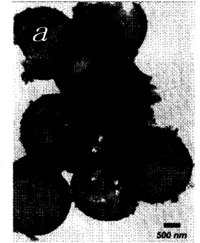 Method for preparing metal-phosphorus alloy hollow microsphere