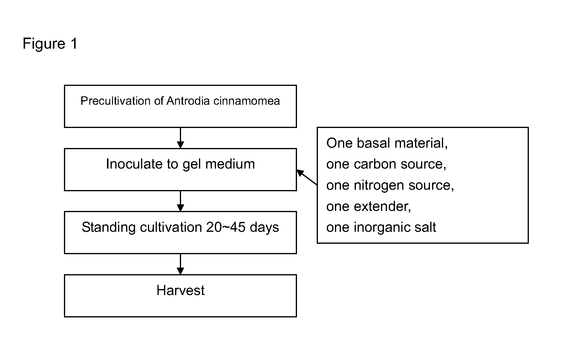 Fungal mixture and preparation thereof