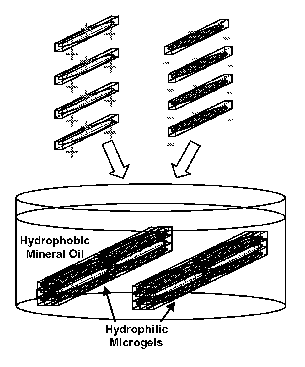 Cell-Laden Hydrogels