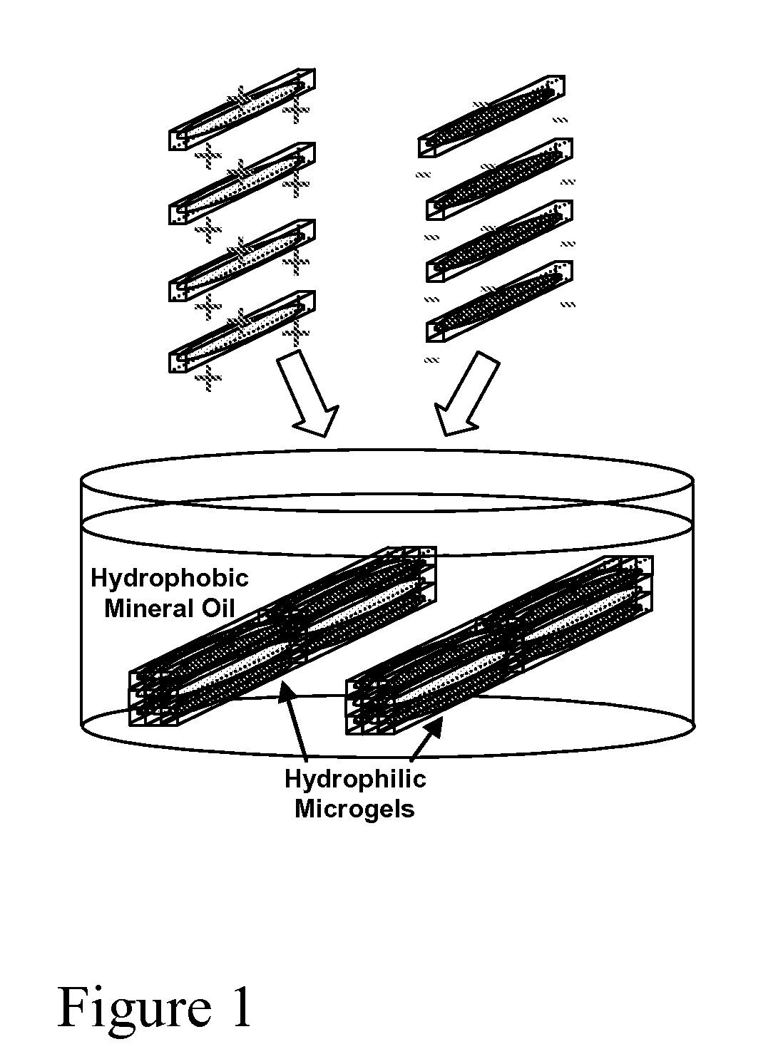 Cell-Laden Hydrogels