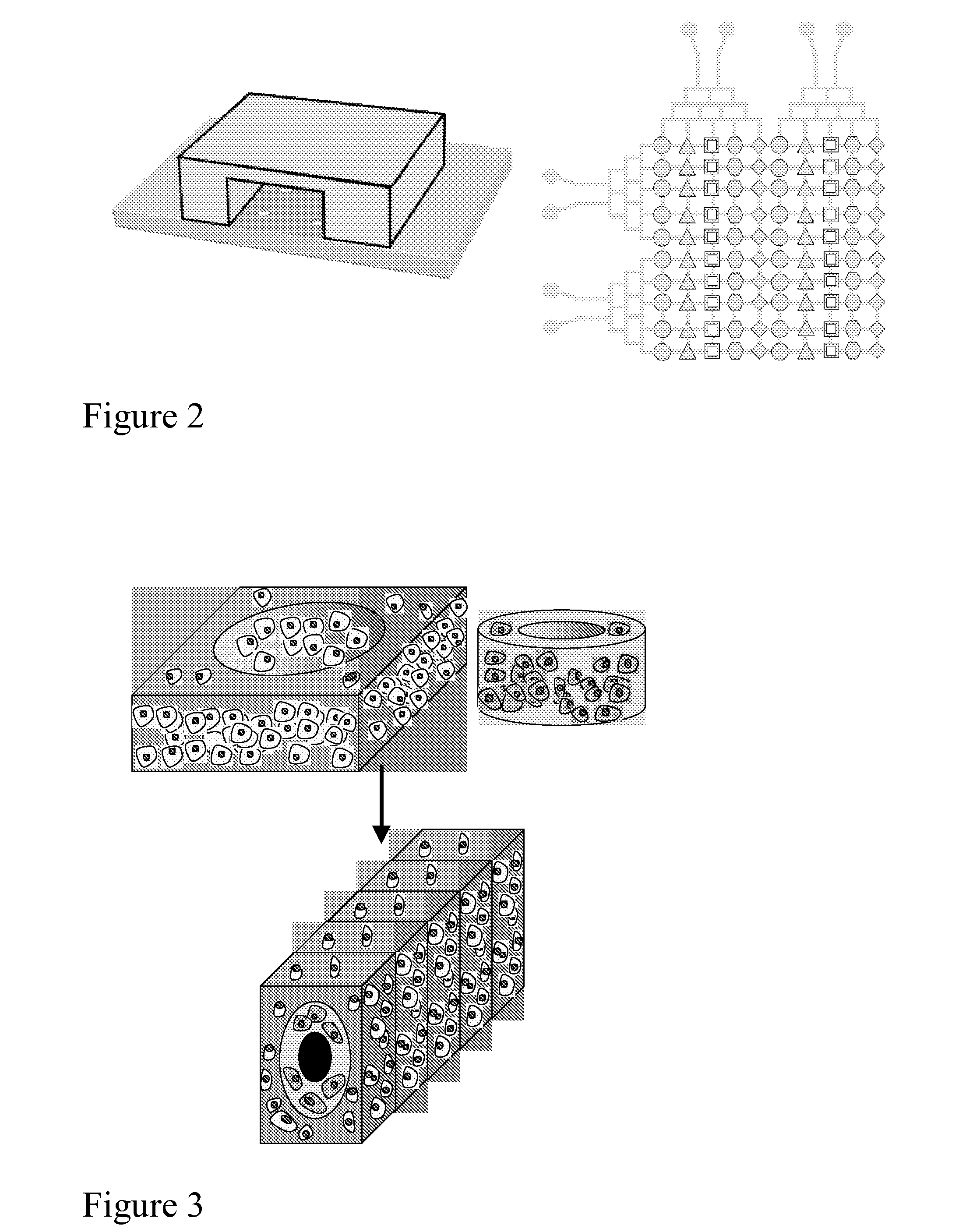 Cell-Laden Hydrogels