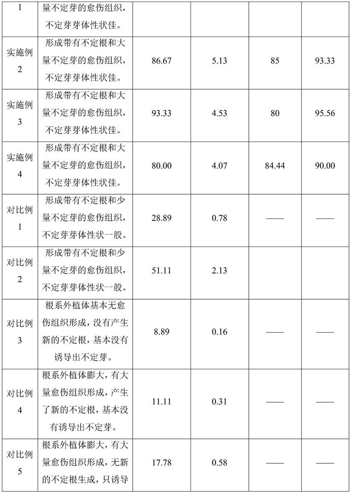 Efficient one-step regeneration method taking root system of broussonetia papyrifera as explant