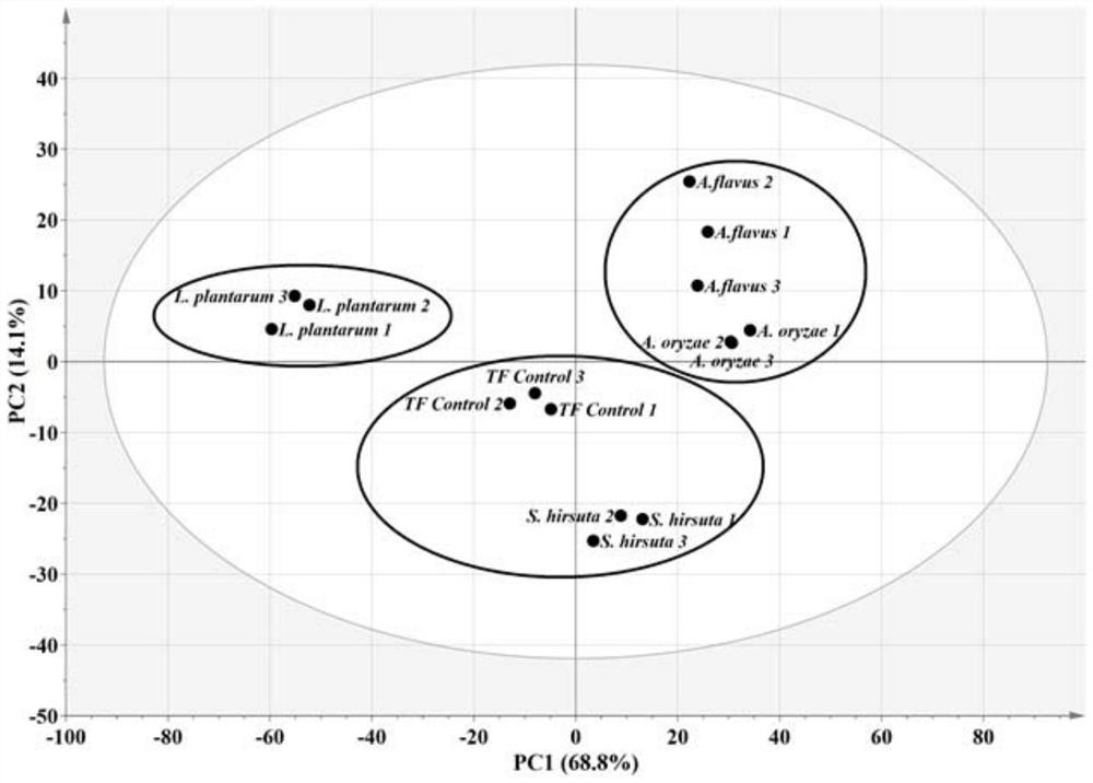 A Saccharopolyspora strain reducing biogenic amine and its application