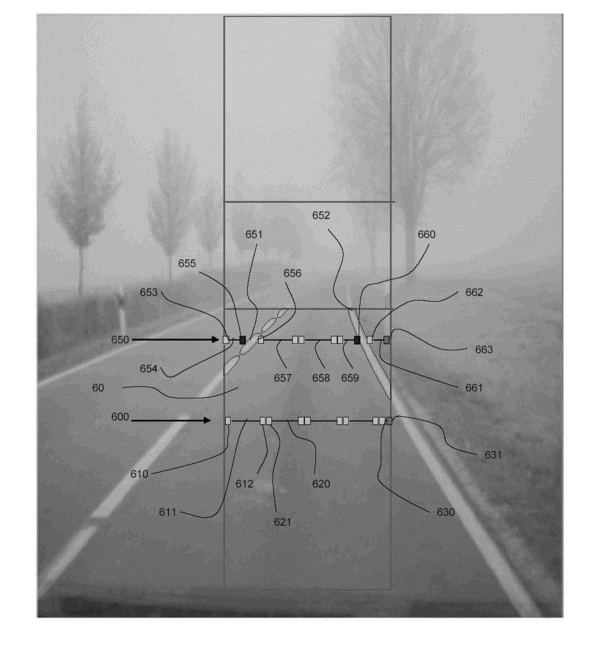 Procede de determination d'une region d'interet dans une image