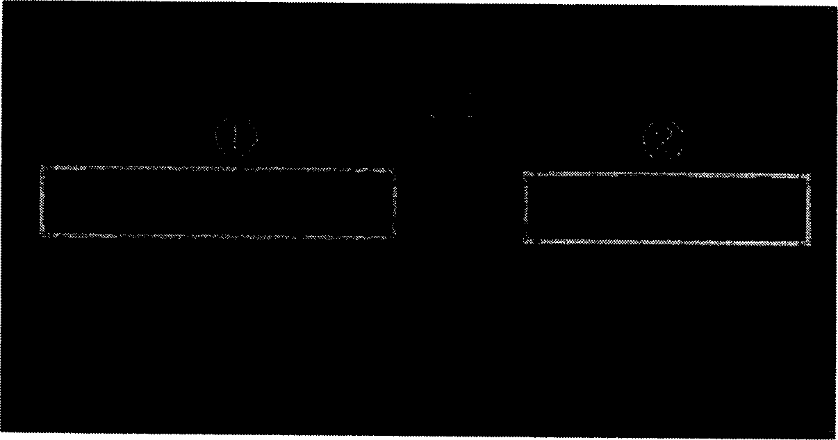 Recombinant adeno-associated virus comprising VEGFR Truncated Soluble cDNA and gene therapeutic agent comprising the same