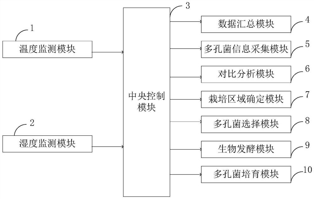 System and method for large-scale production of wild porous fungus through biological fermentation technology