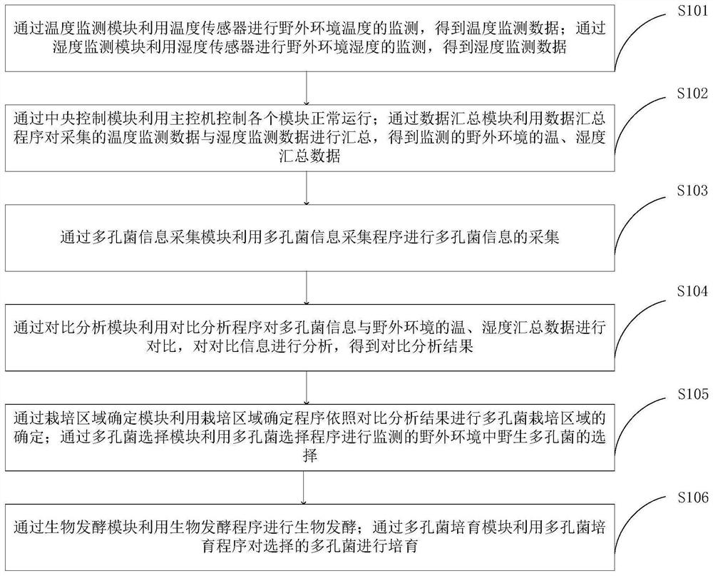 System and method for large-scale production of wild porous fungus through biological fermentation technology