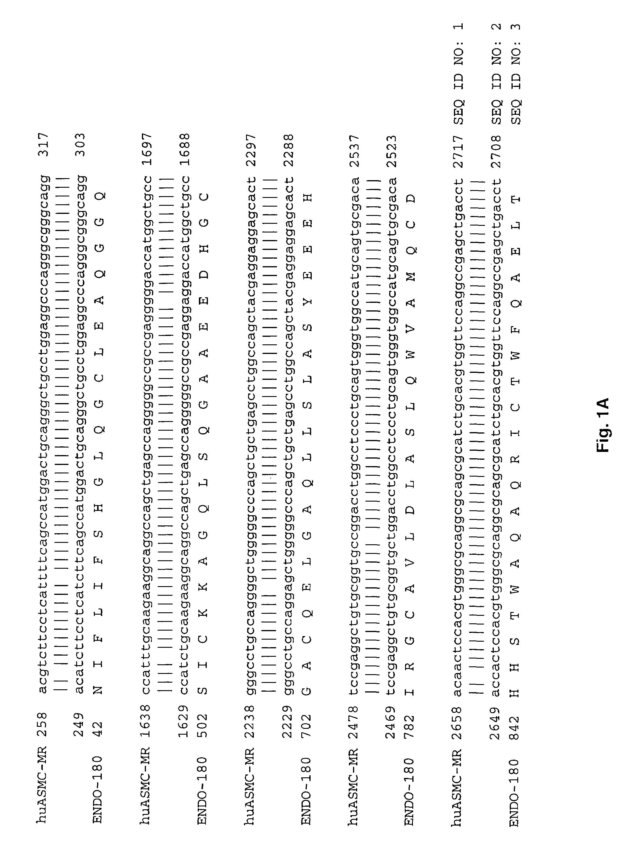 Use of mannan from saccharomyces cerevisiae for the treatment of asthma