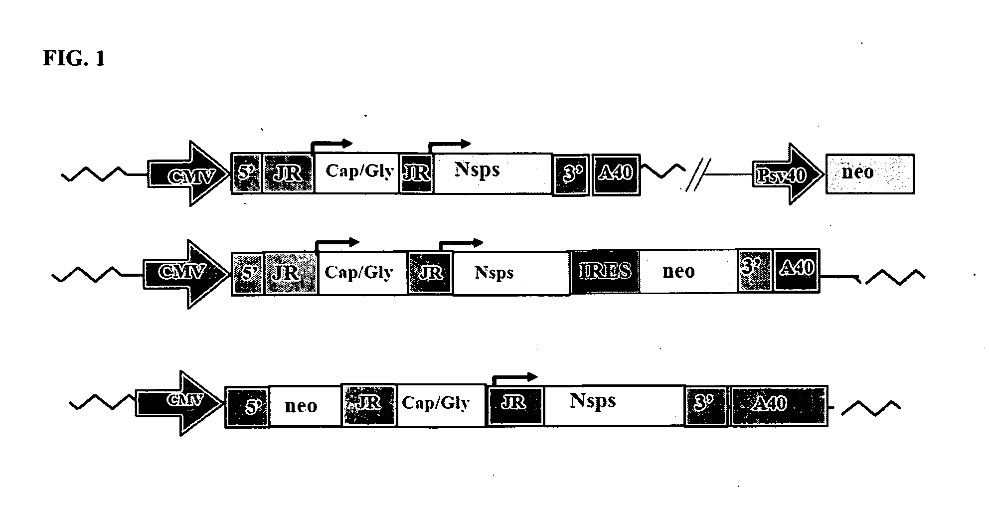 Methods of generating alphavirus particles