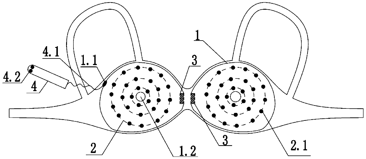 Temperature monitoring system and monitoring method for early warning of breast lesions