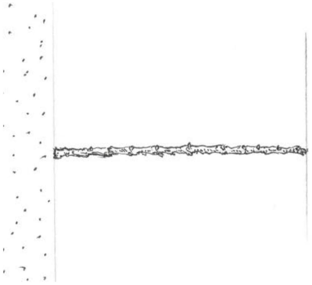 Apple sapling management method