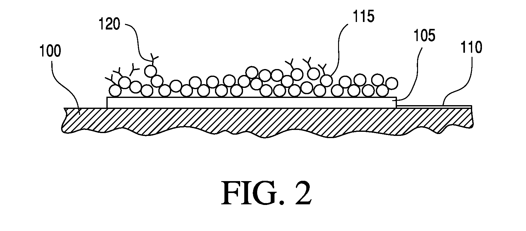 Apparatus and method for identifying a hook effect and expanding the dynamic range in point of care immunoassays