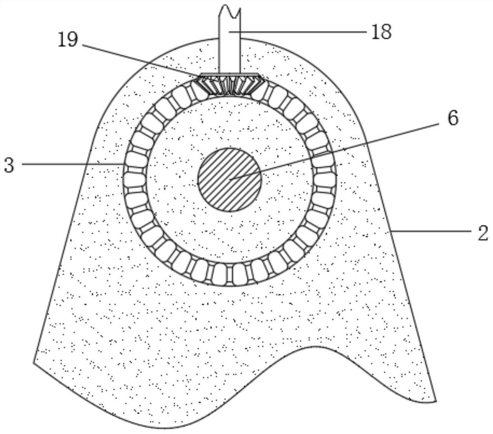 Drug allergy detection device and method for cancer patients