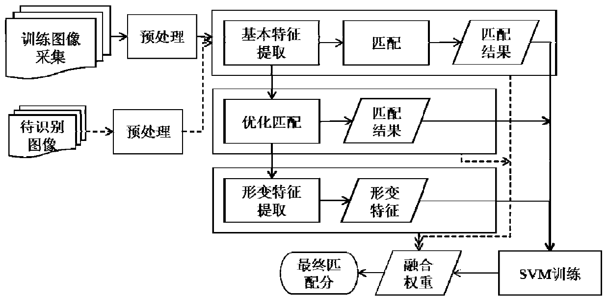 Finger vein recognition method and system fusing basic features and deformation features