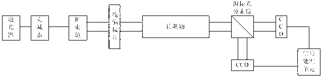 Optical rotation angle field detection device based on polarized beam splitting imaging and measurement method thereof