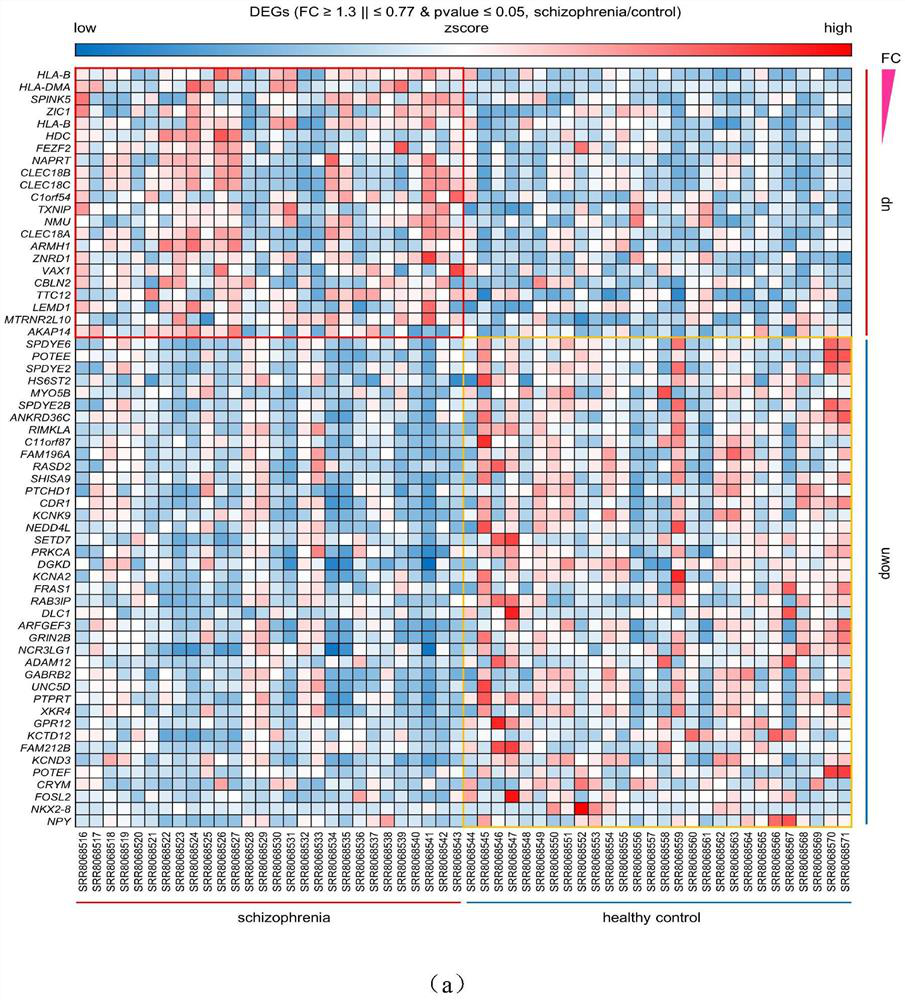 Application of miRNA molecular marker in schizophrenia detection