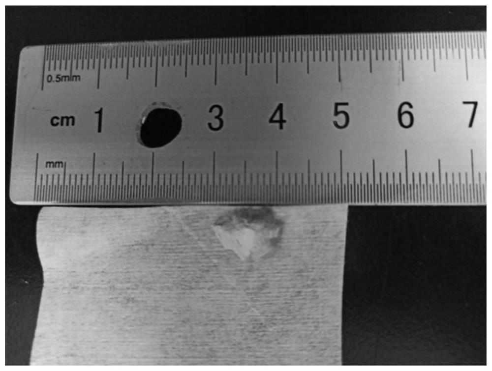 A kind of perovskite single crystal flake and method and application for promoting its growth