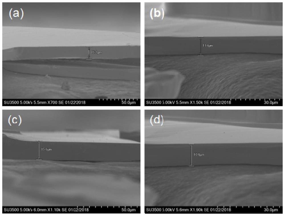 A kind of perovskite single crystal flake and method and application for promoting its growth