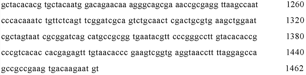 Bacillus subtilis LSSE-22 and application thereof