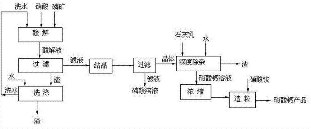 Method for producing water-soluble calcium nitrate dihydrate and phosphoric acid by decomposing phosphorite through nitric acid