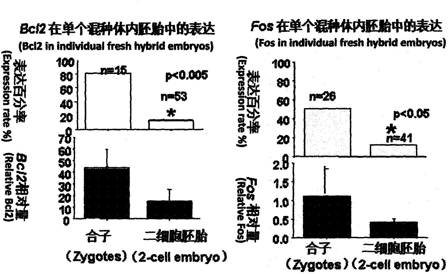 Reverse transcription reaction system for monitoring quality of IVF (in-vitro fertilization) embryo culture fluid by real-time quantitative reverse transcription PCR (polymerase chain reaction)