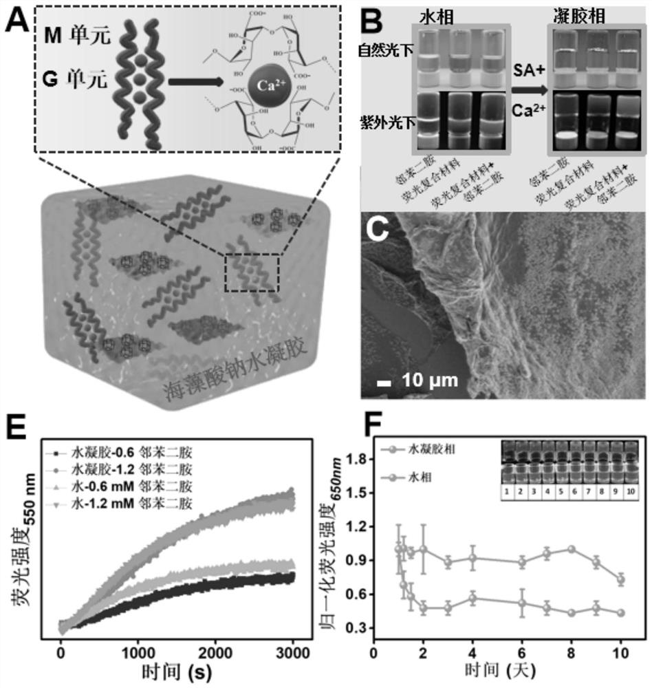 Preparation method of hydrogel kit for monitoring degradation of organophosphorus pesticide