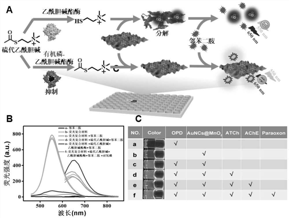 Preparation method of hydrogel kit for monitoring degradation of organophosphorus pesticide