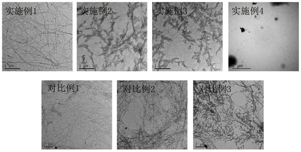 Probiotic high-fiber absorbable loquat jelly and preparation method thereof