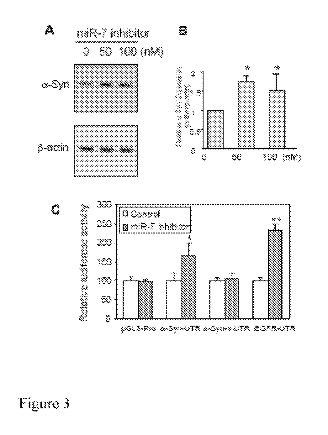 RNA targeting in alpha-synucleinopathies