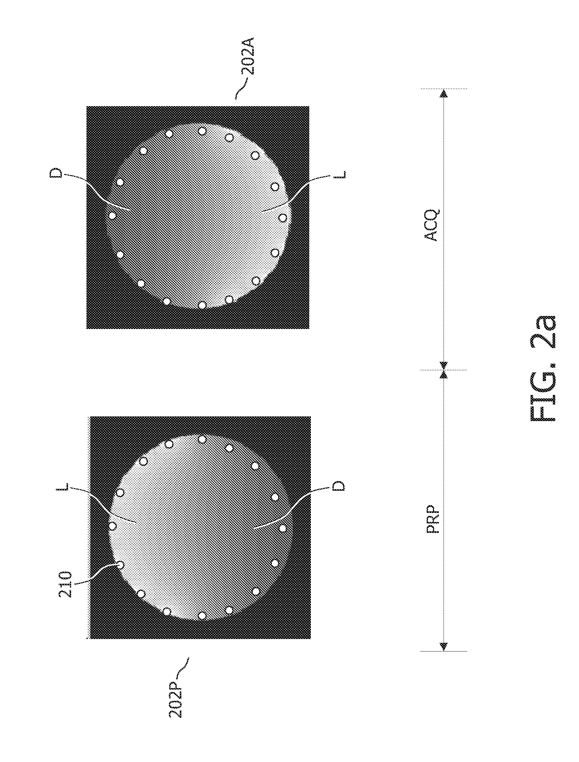 Multi-channel magnetic resonance imaging and spectroscopy