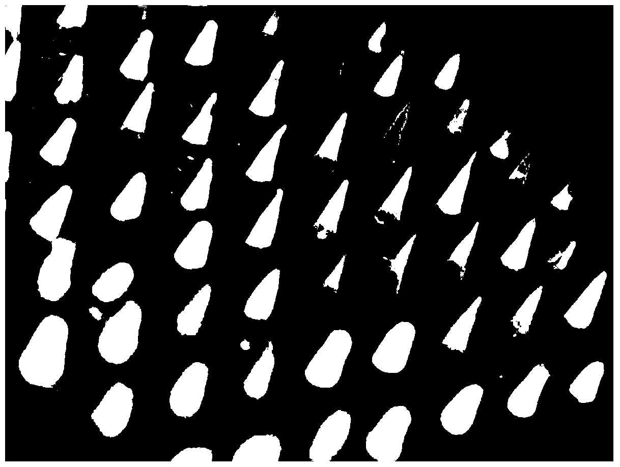 Temperature-sensitive soluble microneedle and preparation method thereof